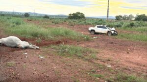 acidente-na-br-242:-moradores-de-porangatu-morrem-apos-colisao-com-animal-em-peixe